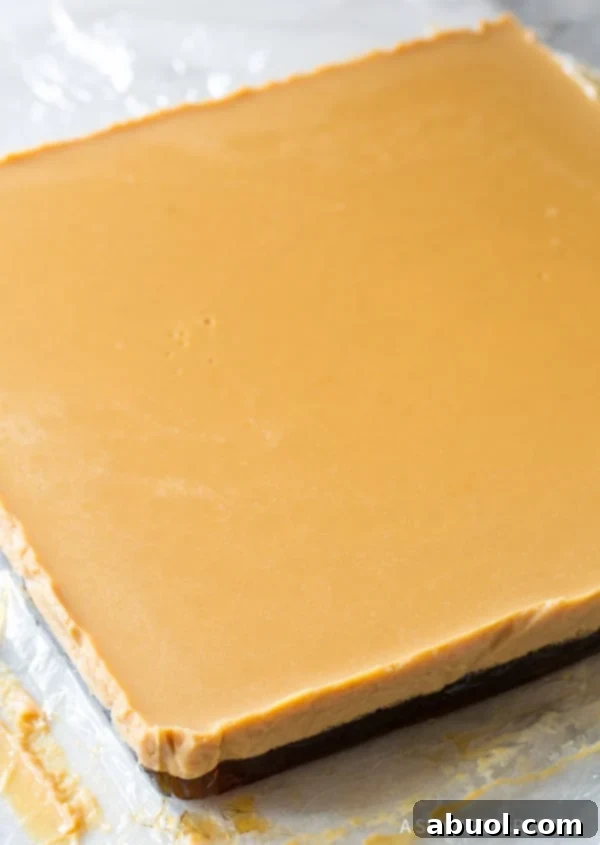 A solid block of layered coffee and Baileys Irish Cream gelatin, chilled and ready to be cut into individual jello shots.