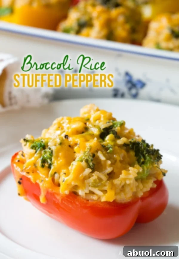 Warm Vegetarian Stuffed Peppers Recipe with Rice and Broccoli.