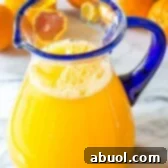 Refreshing Southern Orangeade Recipe