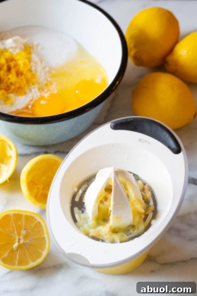 Ingredients for white chocolate lemon bars - juice fresh lemon