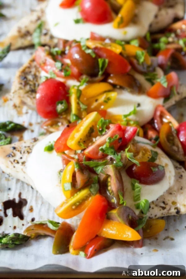 Close-up of baked chicken breast with melted mozzarella, fresh tomatoes, and basil on top.