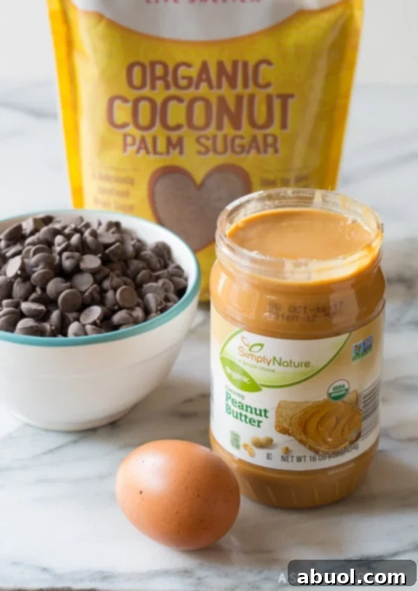 The four essential recipe ingredients laid out: an open jar of creamy peanut butter, a whole egg, a small bowl brimming with dark chocolate chips, and a bag of coconut palm sugar in the background.