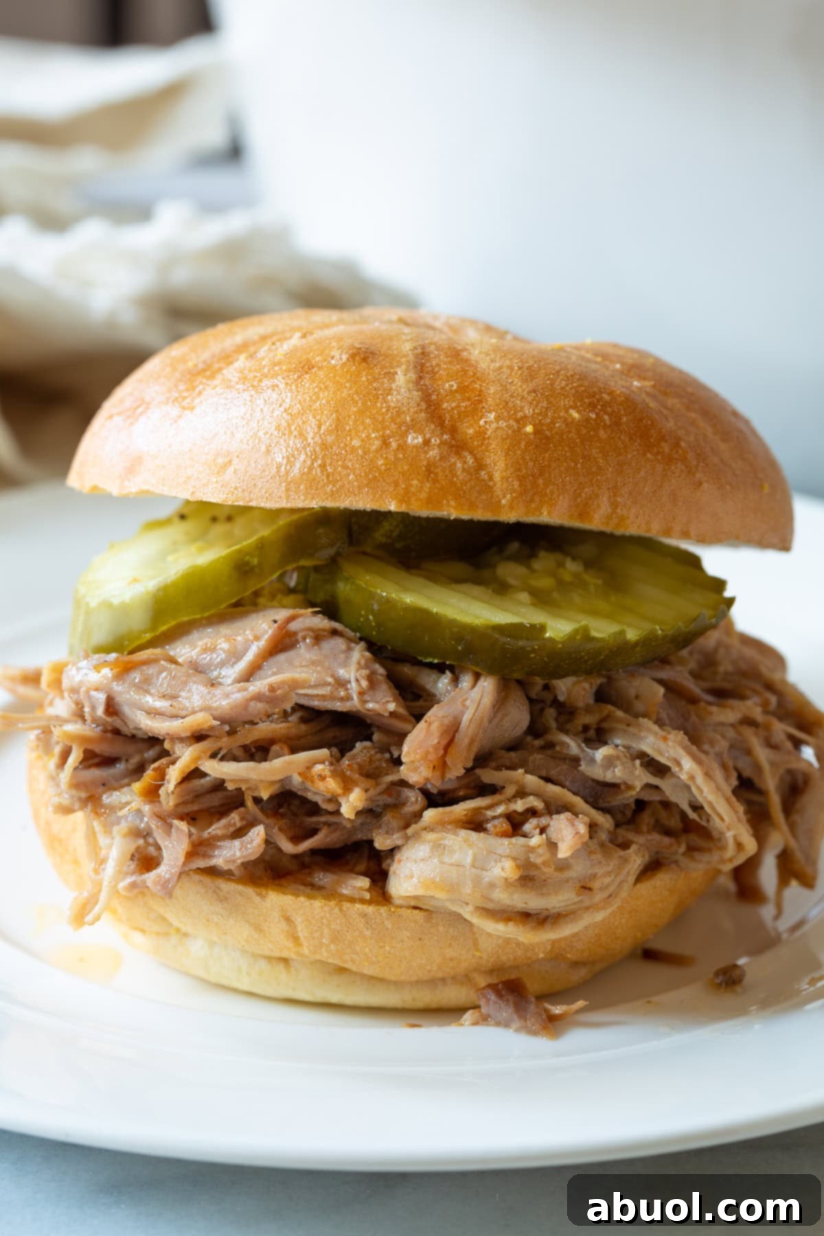 Smoked pulled pork on a bun with pickles served on a white plate, ready to be eaten.