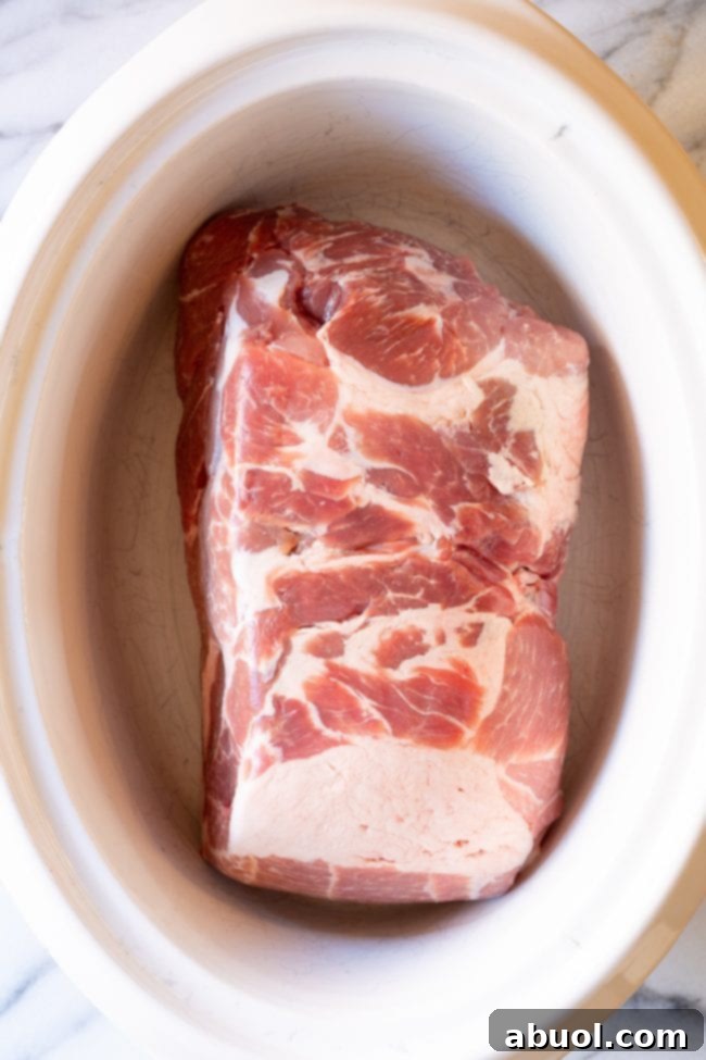 Uncooked pork roast placed in a large oval crock-pot.