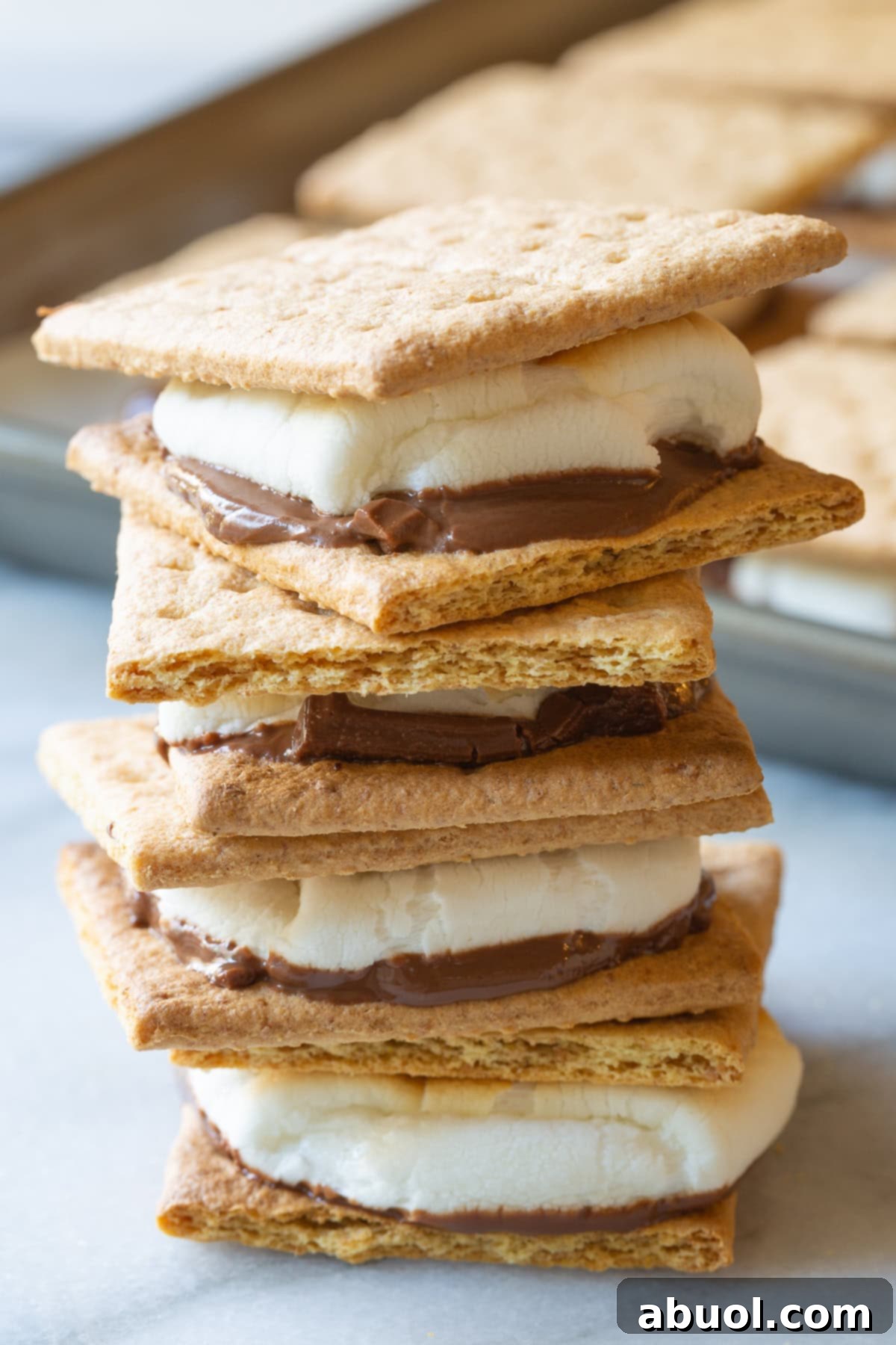 Oven Baked Smores Perfection 2 Oven-Baked S'mores sandwiches stacked on a plate, showing melted chocolate and perfectly toasted marshmallows.