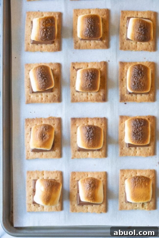 Oven Baked Smores Perfection 6 Close-up of partially assembled s'mores with chocolate and marshmallows on graham crackers.