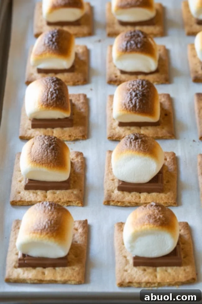 Oven Baked Smores Perfection 7 A tray of s'mores, with marshmallows browning under the broiler in an oven.