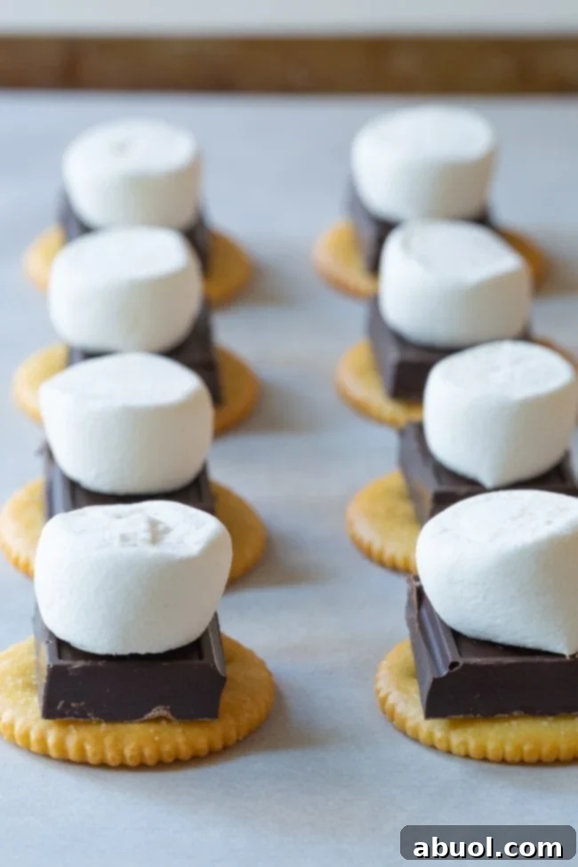 Oven Baked Smores Perfection 8 Ritz cracker s'mores featuring dark chocolate and marshmallows, offering a salty-sweet twist.