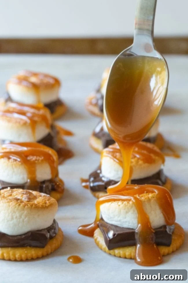 Oven Baked Smores Perfection 9 Gourmet s'mores made with butter crackers, dark chocolate, and a drizzle of salted caramel sauce.
