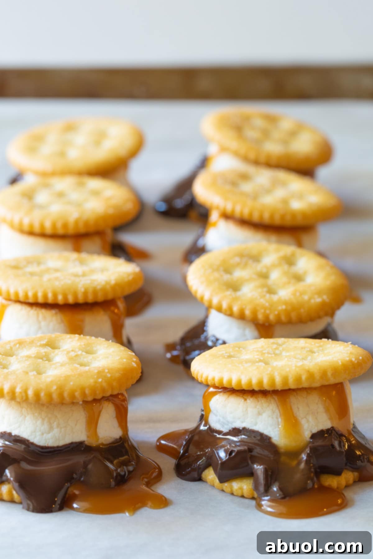 Oven Baked Smores Perfection 10 Gourmet Ritz cracker s'mores with dark chocolate, perfectly toasted marshmallows, and a generous drizzle of salted caramel sauce.