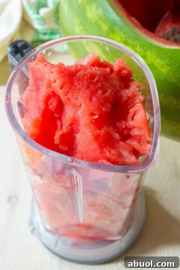 Blender full of chunks of watermelon.