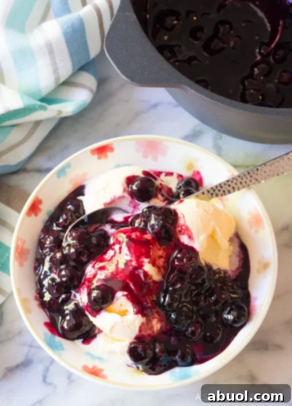 A bowl of vanilla ice cream topped with warm, glistening blueberry sauce, ready to be enjoyed.