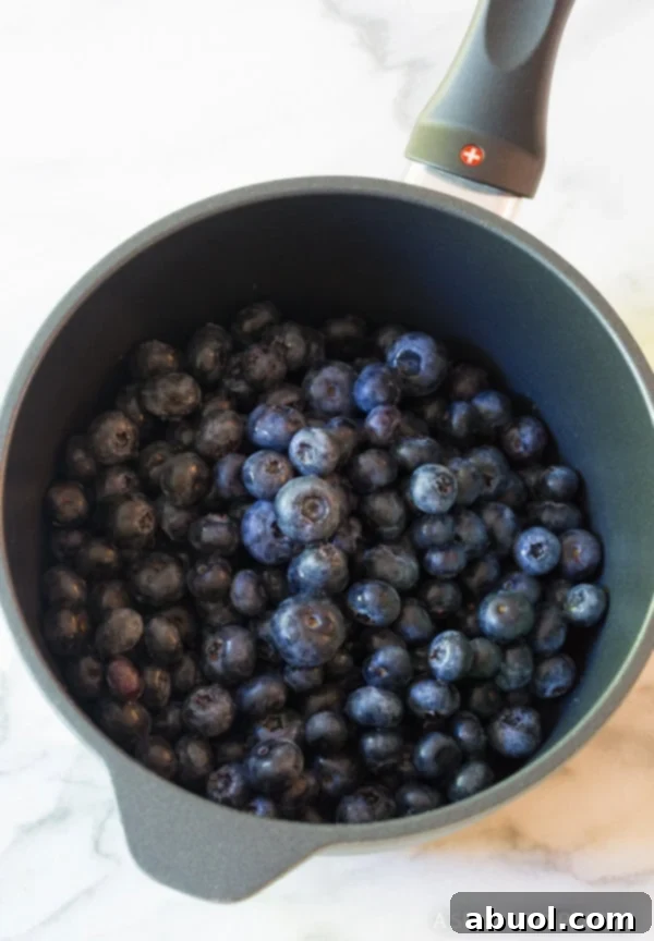 Fresh, vibrant blueberries in a saucepan, ready to be transformed into a delicious warm sauce.