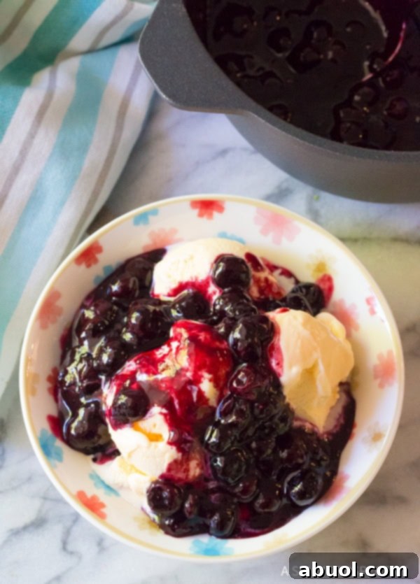 A close-up shot of a bowl of ice cream generously covered with warm blueberry sauce, glistening beautifully.