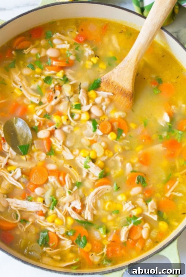 A tempting top-down view of Chicken White Bean Soup served in a vibrant green soup pot, ready to be enjoyed.