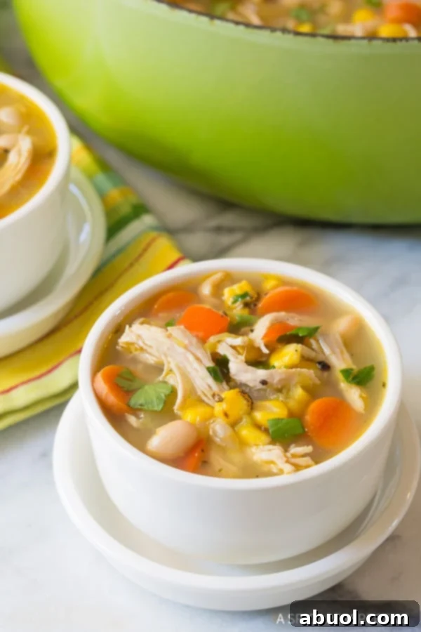 A beautifully presented white bowl of Chicken White Bean Soup, with another bowl and a green soup pot in the background, inviting you to taste.