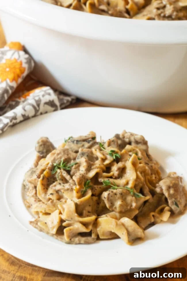 A plate of delicious Crock Pot Beef Stroganoff with noodles, ready to be served.