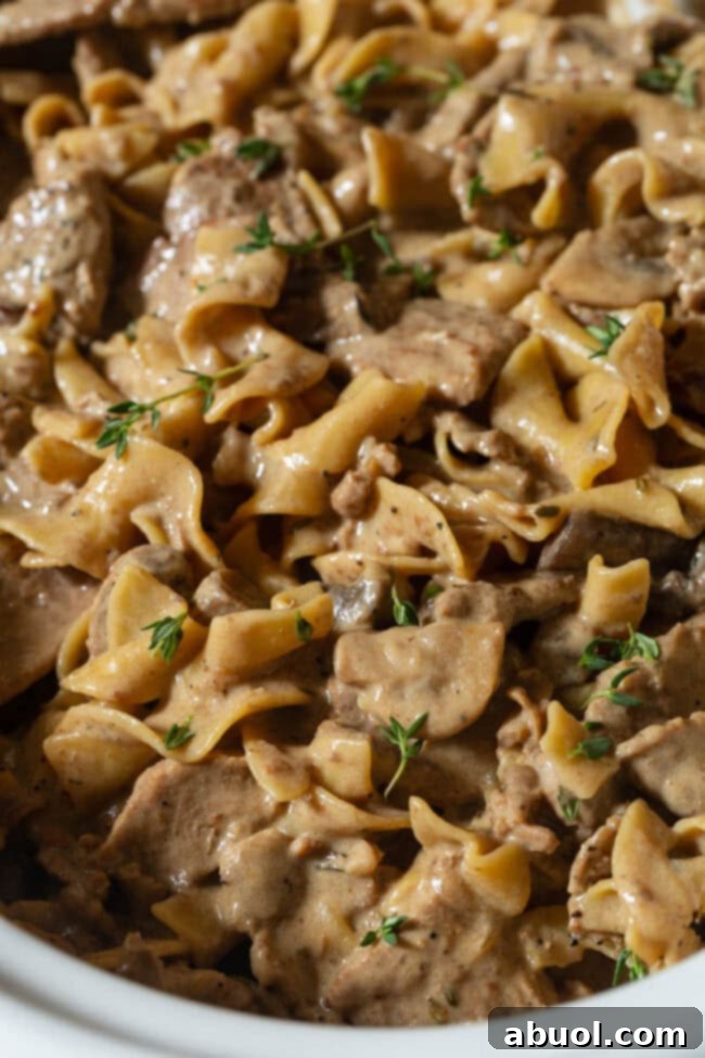 Close-up of Slow Cooker Beef Stroganoff served with egg noodles, showcasing its creamy sauce and tender beef.