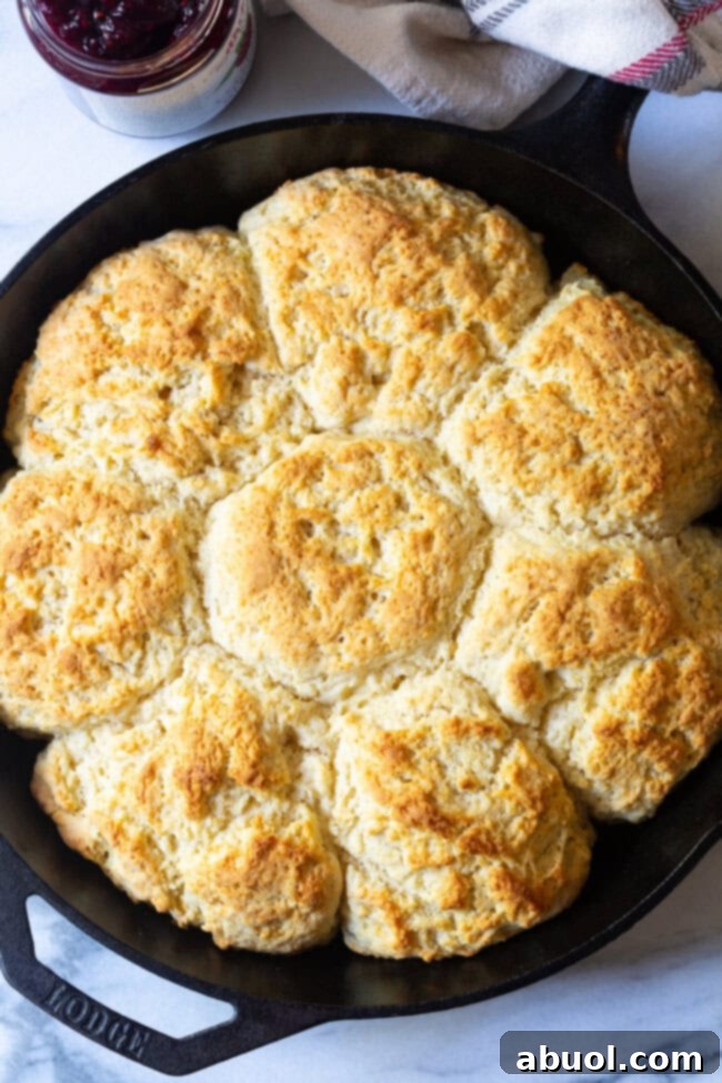 Fluffy Cathead Biscuits arranged artfully in a cast iron skillet, photographed from an overhead perspective to highlight their impressive size and golden crust.