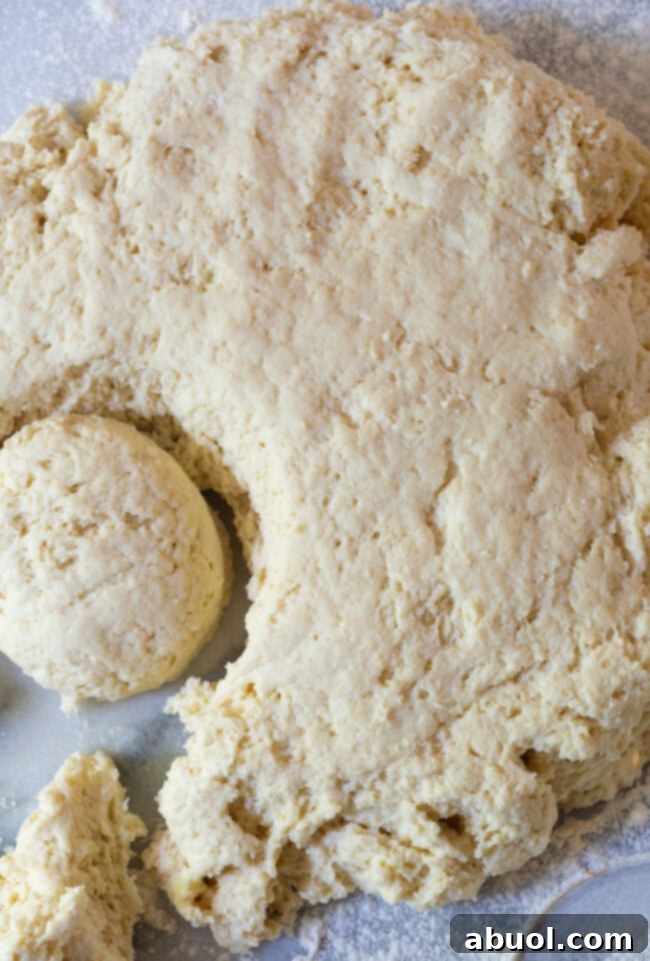 Biscuit dough pressed into a uniform round disk on a floured surface, with one large cat head biscuit already cut out, illustrating the impressive size.