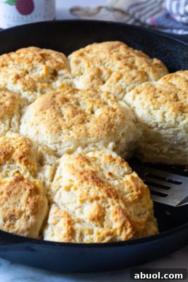 A freshly baked, golden-brown Fluffy Cat Head Biscuit being gently lifted out of a hot cast iron skillet with a spatula, showcasing its fluffy interior.