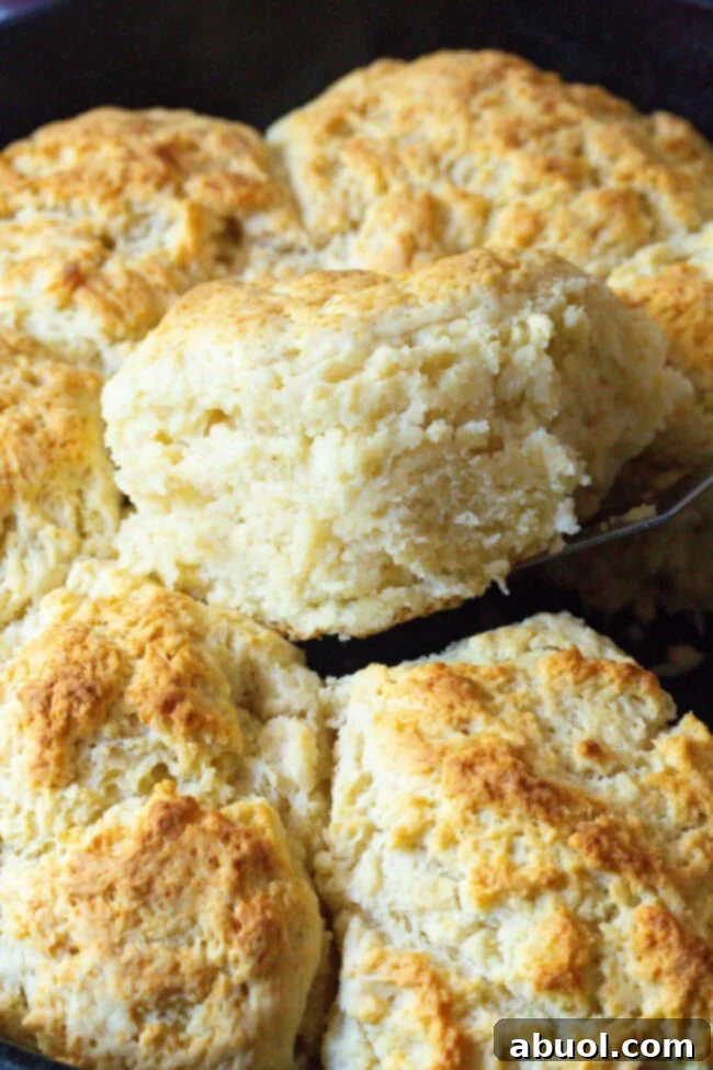 Freshly baked Cat Head Biscuits in a cast iron skillet, with a spatula lifting one perfectly golden-brown biscuit out, ready to be served and enjoyed.
