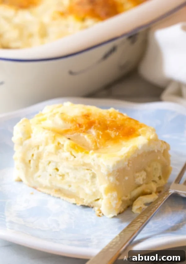 A generous serving of freshly baked Croatian Cheese Strukli, golden-brown and bubbling, presented beautifully on a ceramic plate, ready to be enjoyed.