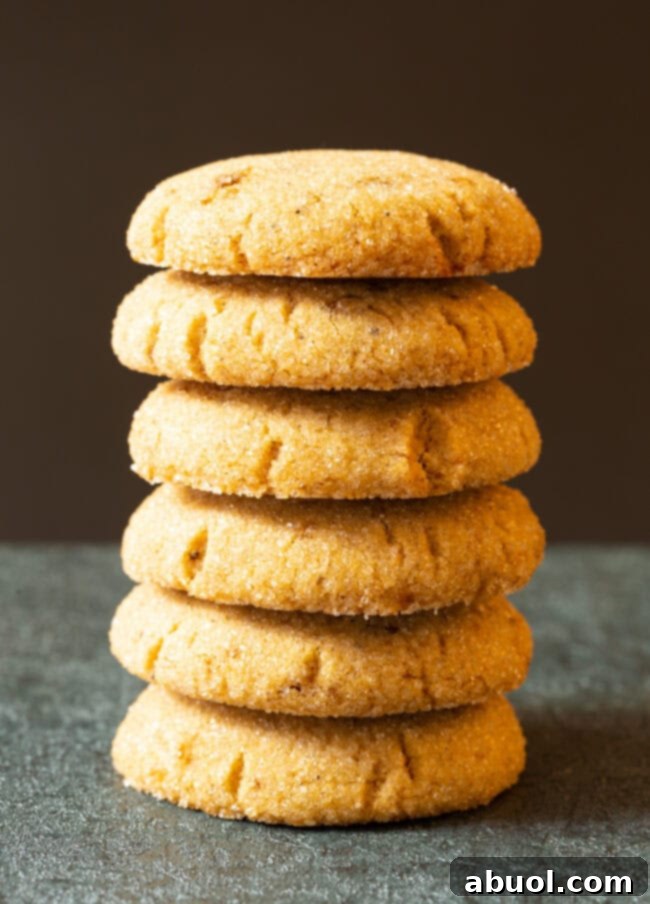 Caramelized Butter Delights 2 Brown butter cookies stacked on top of each other, showcasing their perfect golden-brown color and soft texture.