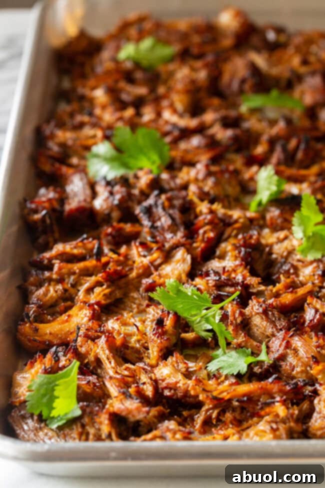 Crispy Instant Pot Carnitas 12 Shredded Instant Pot Carnitas on a baking pan, prepared for broiling to achieve perfect crispy edges