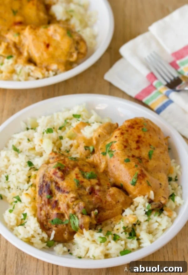 The Best Hungarian Chicken Paprikash - paprikas chicken and rice piled on white plate
