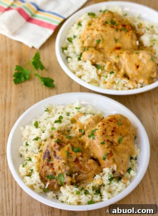 Paprikash Recipe - finished on plates with rice and parsely.