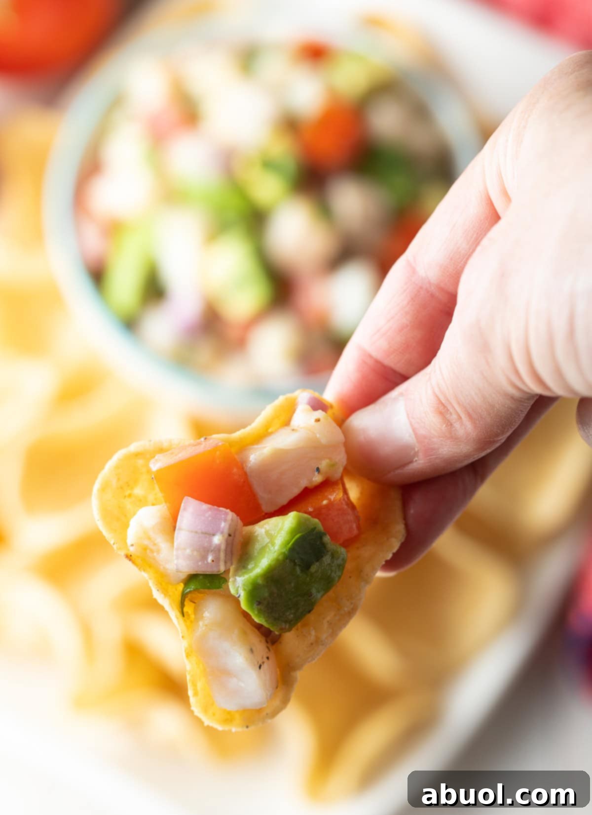 Ceviche de Pescado on tortilla chip - close up shot