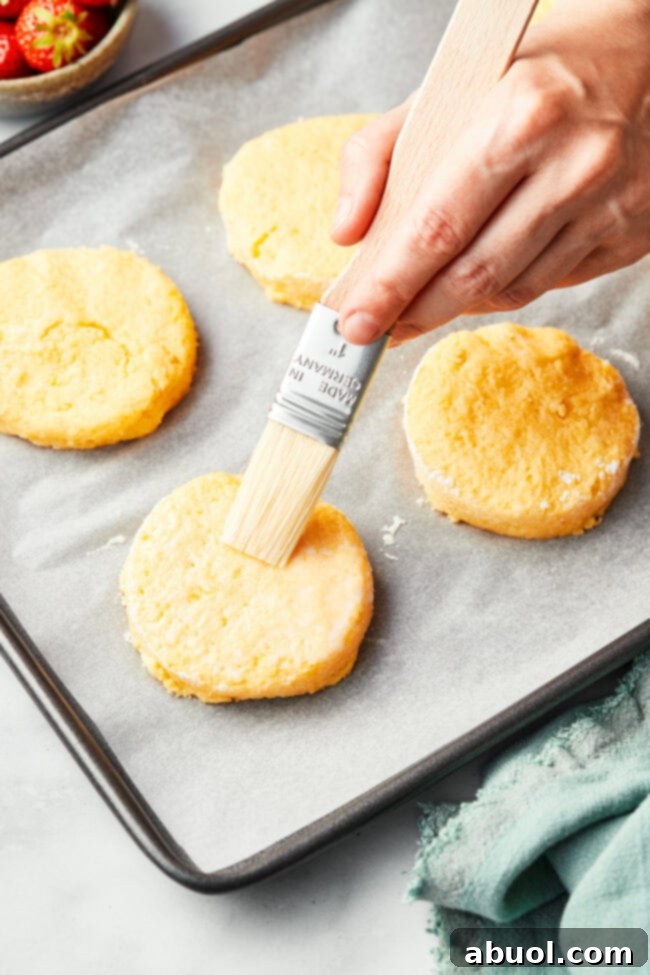 Unbaked strawberry shortcake biscuits arranged on a parchment-lined baking sheet, brushed with milk and sprinkled with sugar, ready for the oven.