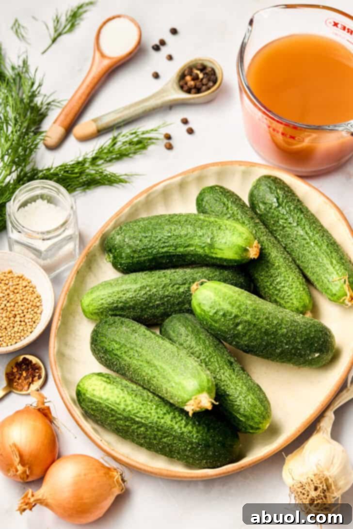 Arrangement of ingredients for homemade dill pickles: pickling cucumbers, fresh dill, garlic, spices, and vinegar