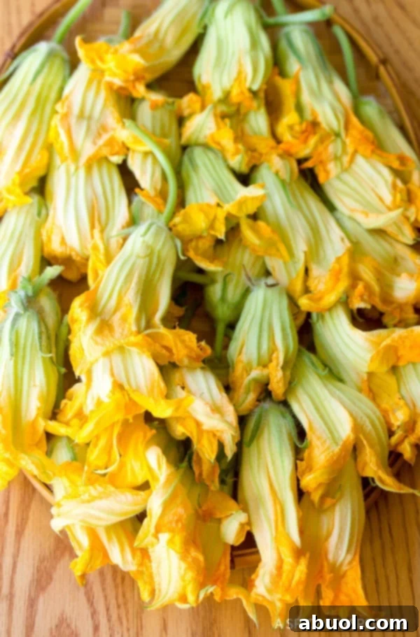 Squash Blossoms Recipe
