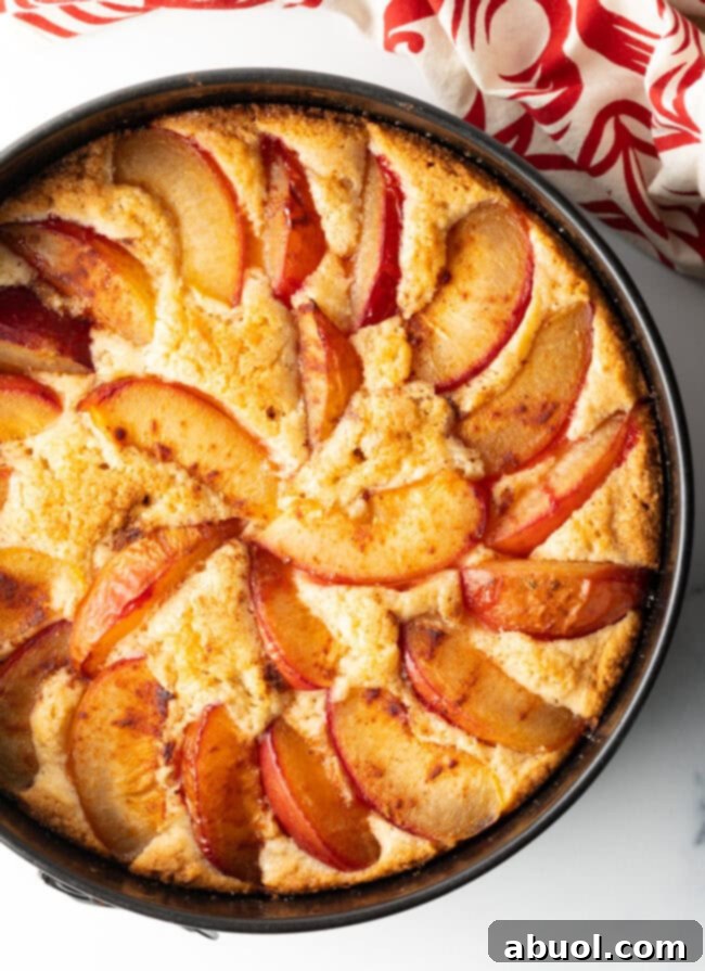 Fresh Plum Cake - A rustic, elegant dessert perfect for summer picnics and holiday gatherings.