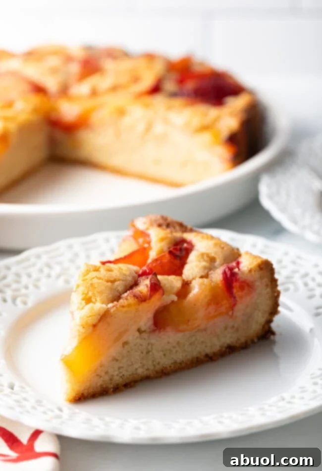A slice of Fresh Plum Cake on a white plate, showing the juicy plum slices and tender crumb.