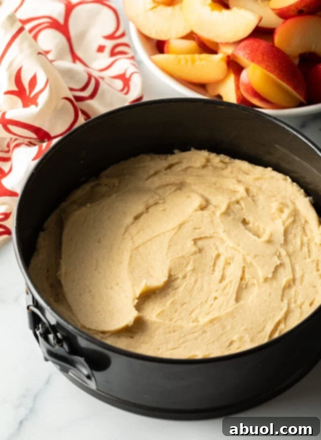 Hand arranging sliced fresh plums in a beautiful pattern on top of cake batter in a springform pan.