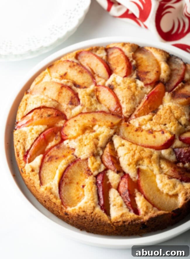 A beautifully cut slice of Fresh Plum Cake, showcasing the golden cake and dark plums.