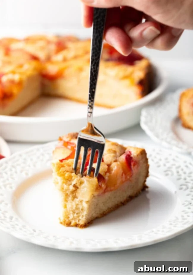 A close-up of a slice of Fresh Plum Cake with a fork, showing the tender crumb and juicy plum pieces.