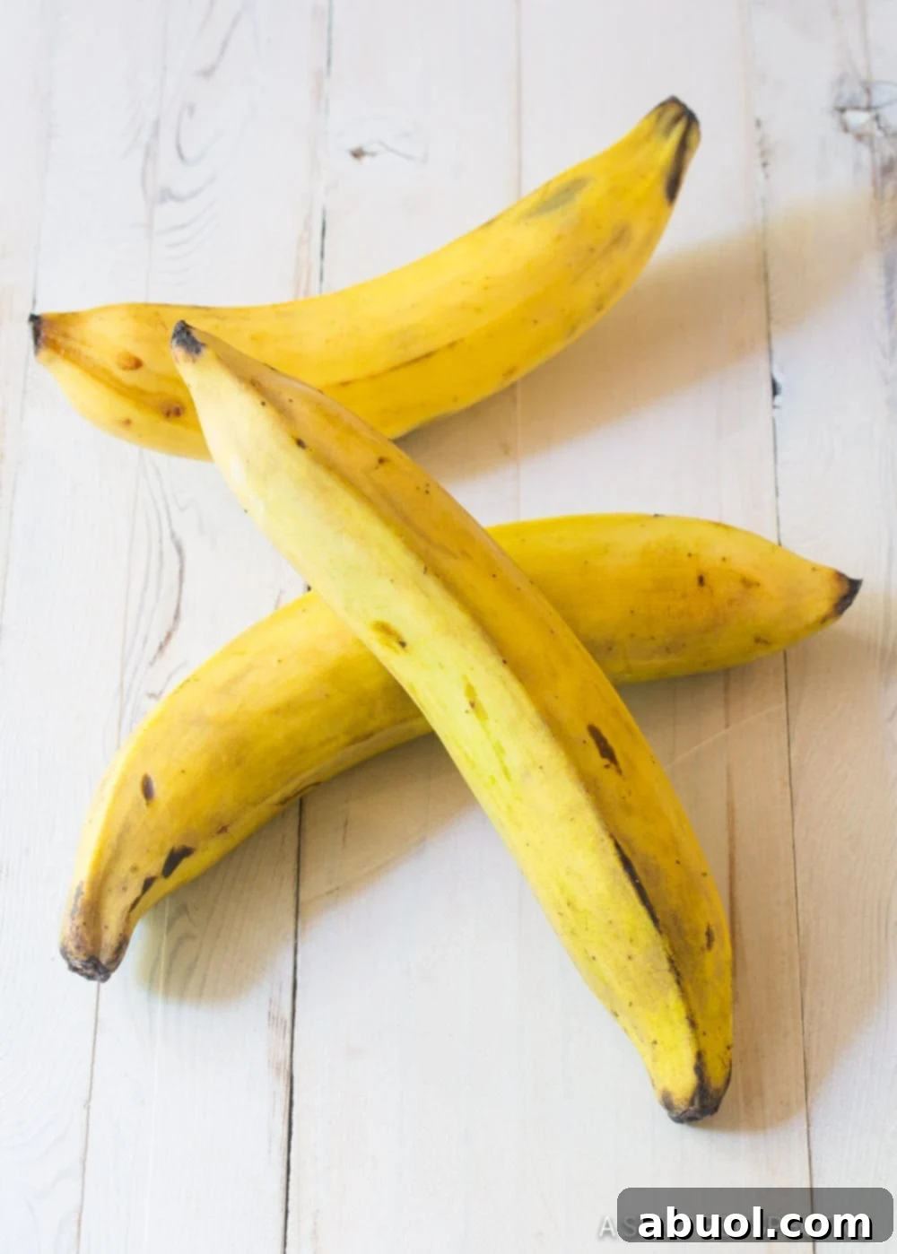 A cluster of vibrant yellow plantains with emerging black spots, indicating ideal ripeness for baking, rests on a kitchen counter.