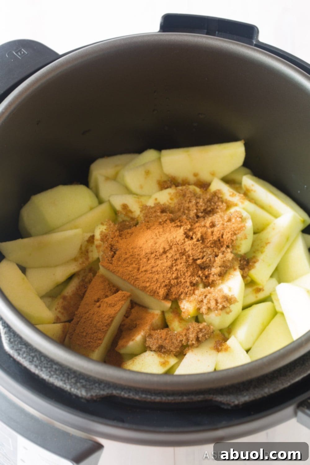 recipe ingredients in the Instant Pot 