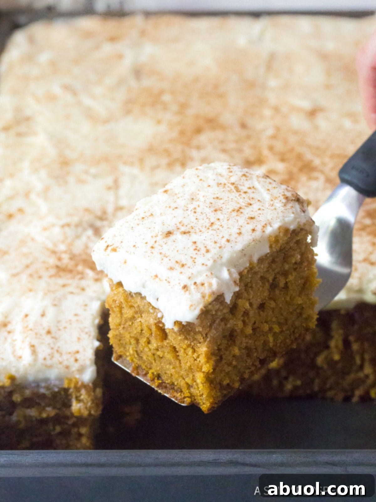 Golden Harvest Pumpkin Sheet Cake 9 Spiced Pumpkin Sheet Cake with Buttermilk Frosting Recipe lifted piece out of pan