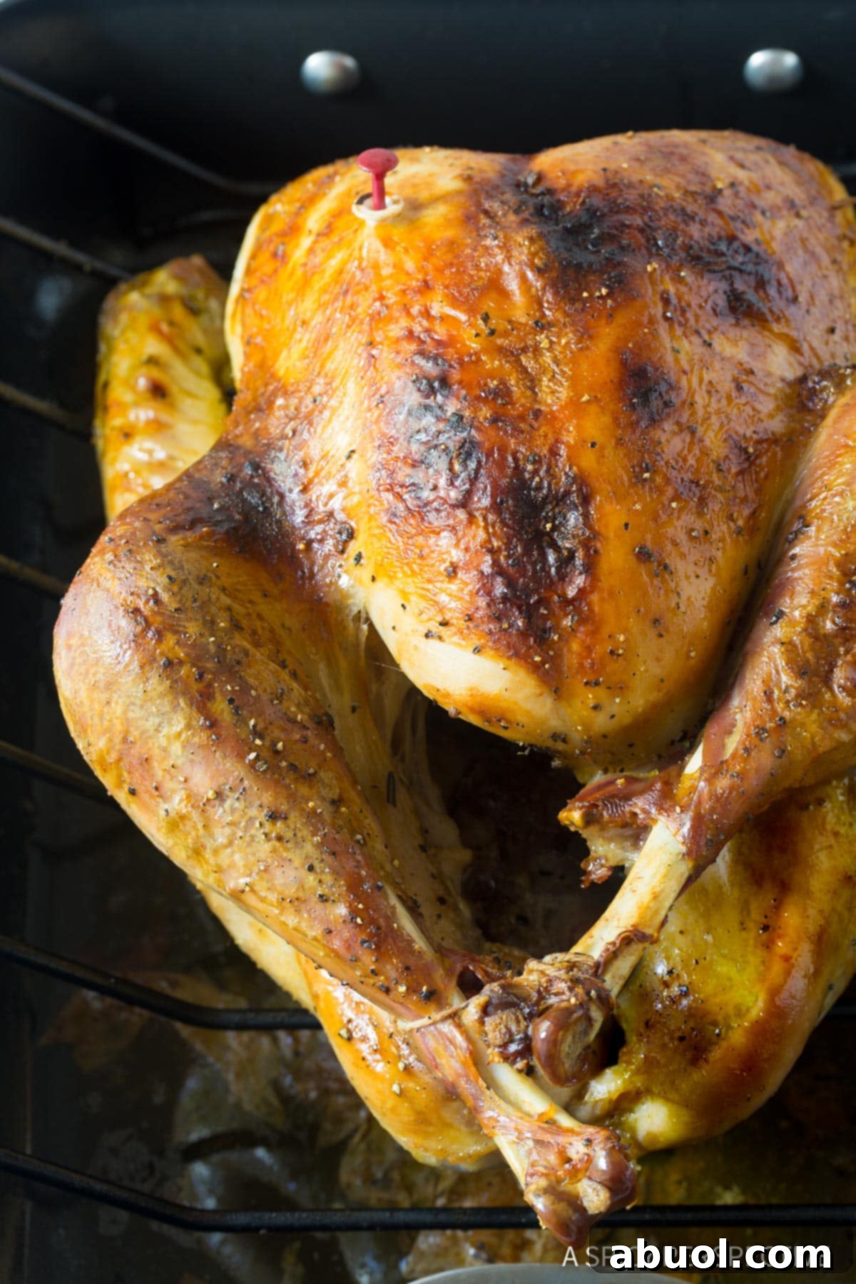 Perfectly roasted turkey in a roasting pan, ready to be served, a result of using a premium Turkey Brine Recipe.