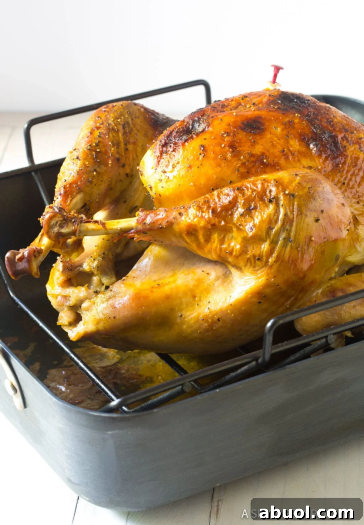 A shot of a perfectly oven-baked turkey in a roasting pan, glistening with juices and golden brown, after being prepared with the Turkey Brine Recipe.
