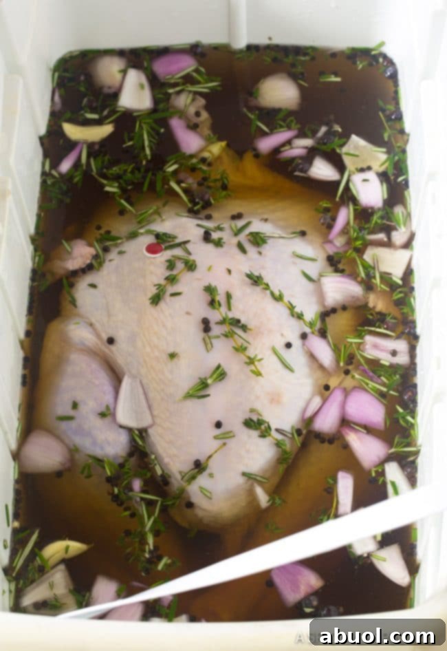 A raw turkey fully submerged in a turkey brine solution within a large cooler, showing the initial stage of the brining process.