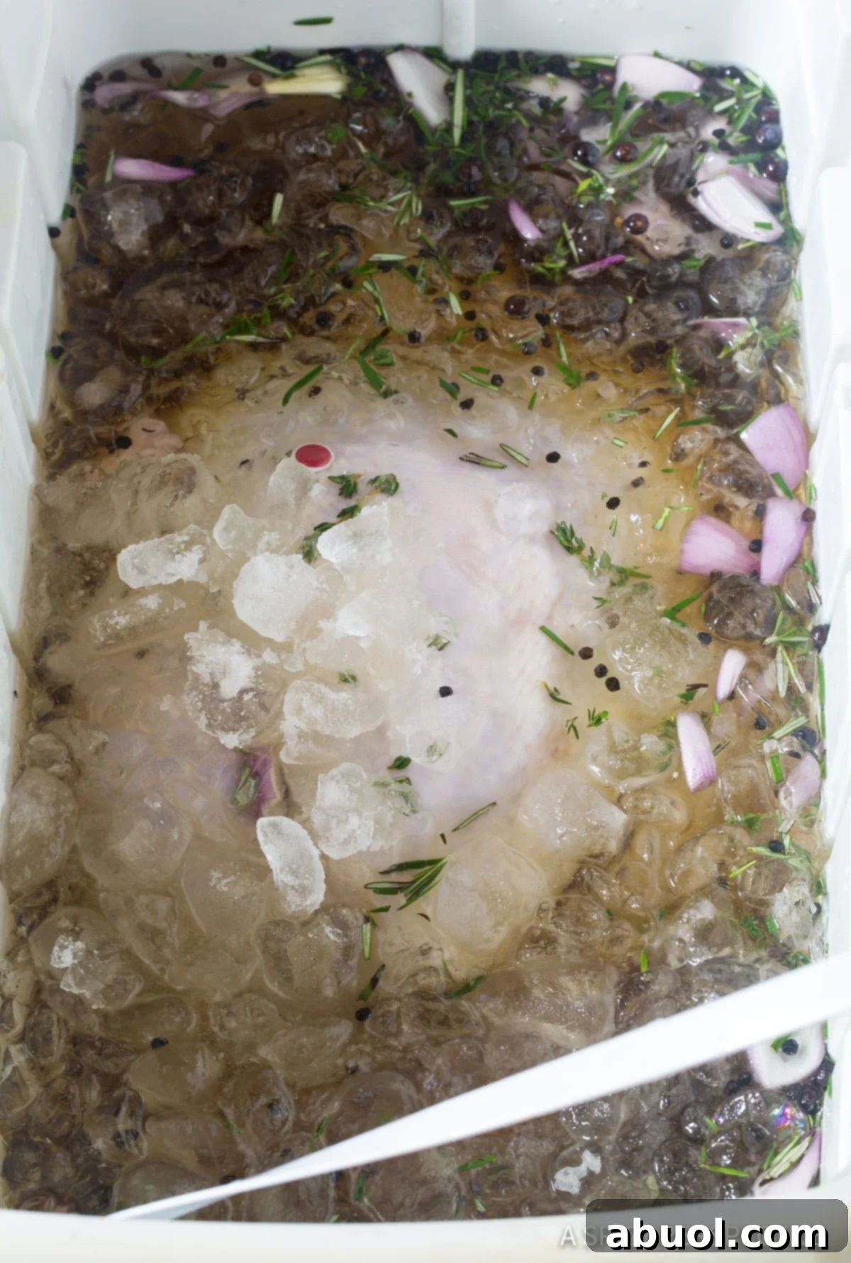 Detailed shot of a turkey immersed in a brine bath within a cooler, clearly labeled for 'Turkey Brine Recipe - Simple Ice and flavor bath for the turkey'. This image illustrates 'How Long To Brine A Turkey'.