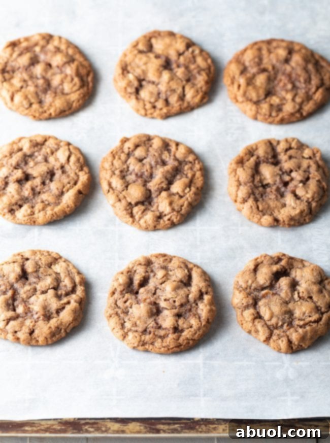 Baked oatmeal cookies. 