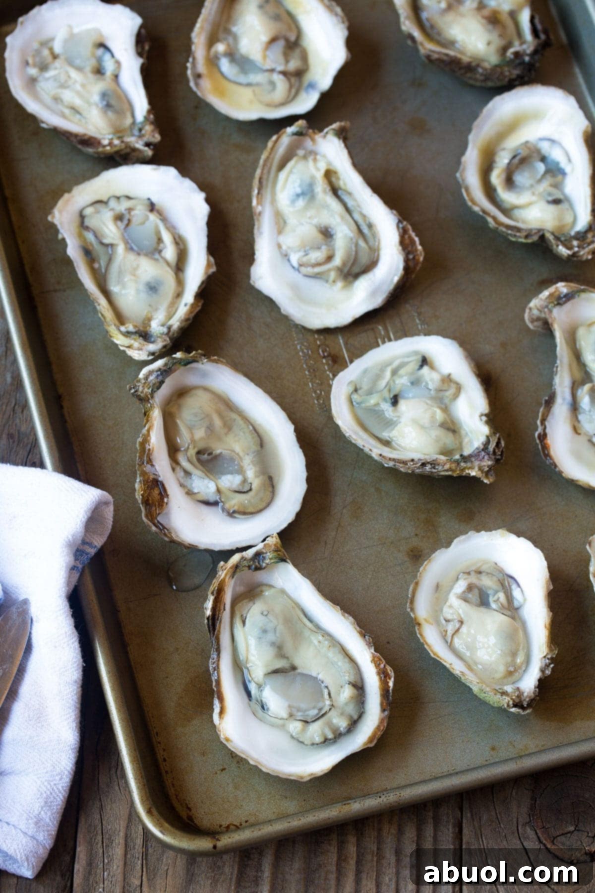Cleaned, freshly shucked oysters on the half shell, neatly arranged on a baking tray, awaiting their delicious topping.