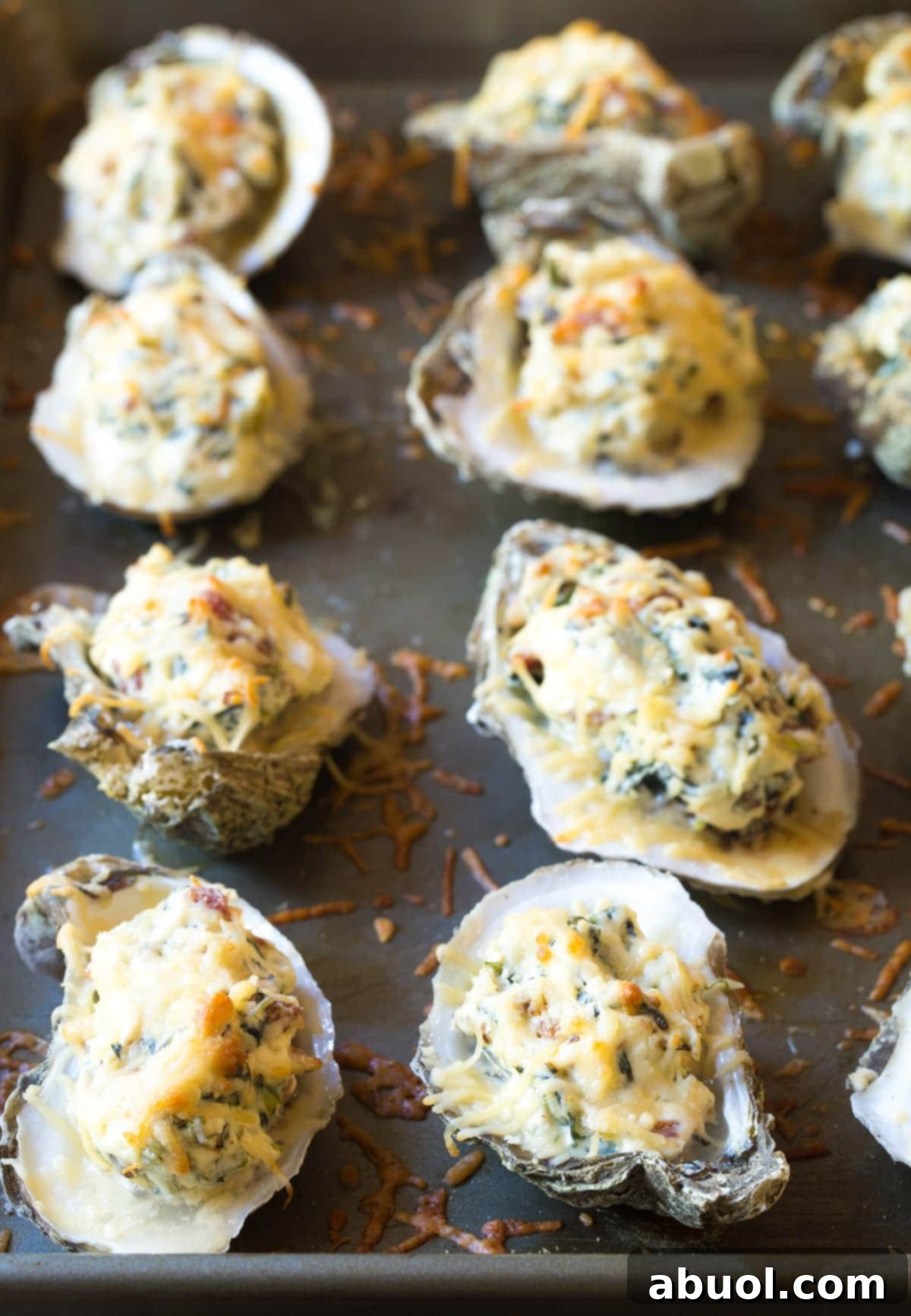 Three-Cheese Baked Oysters Recipe, fresh, hot, and glistening from the oven, showing the perfectly melted cheese topping.